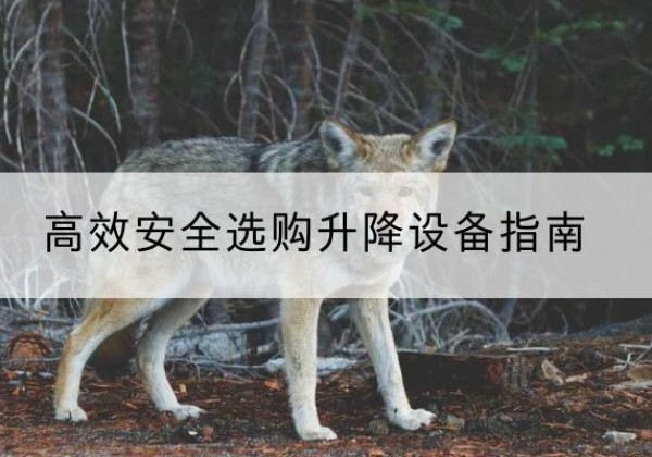 华州升降货梯厂家推荐-*安全选购升降设备指南