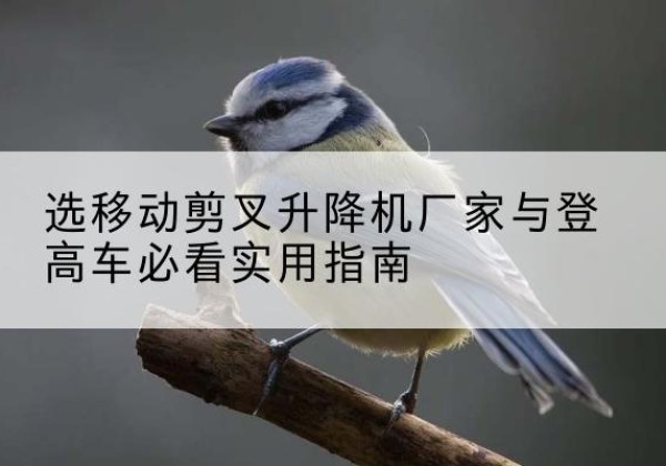 华州电动升降机厂家-选移动剪叉升降机厂家与登高车必看实用指南