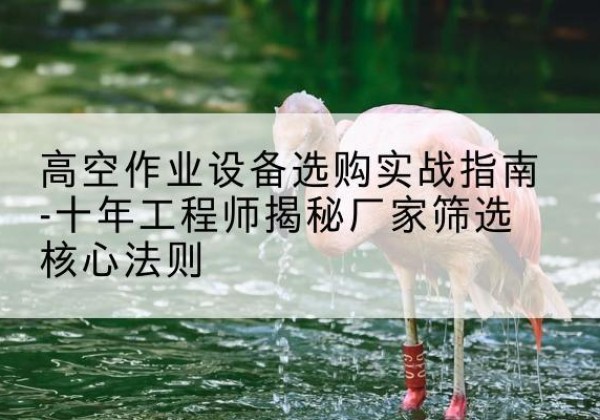 华州剪叉式升降机厂家-高空作业设备选购实战指南-十年工程师揭秘厂家筛选核心法则